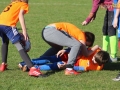dzieci rugby 101