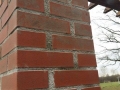 swietlice (2)
