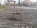 swietlice (5)