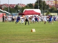 wariors-kozly42-sign