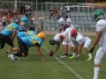 wariors-stal06-sign