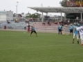 wariors-stal08-sign