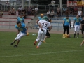 wariors-stal09-sign