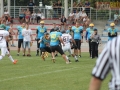 wariors-stal10-sign