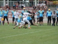 wariors-stal12-sign