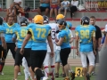 wariors-stal13-sign