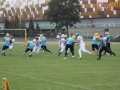 wariors-stal14-sign