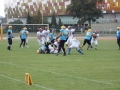 wariors-stal15-sign