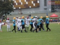 wariors-stal16-sign
