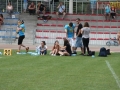 wariors-stal17-sign