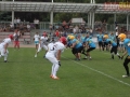 wariors-stal20-sign