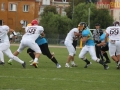 wariors-stal41-sign