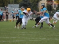 wariors-stal42-sign