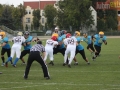 wariors-stal46-sign