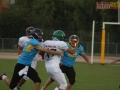 wariors-stal48-sign