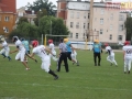 wariors-stal49-sign