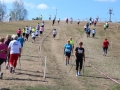 VI MIędzynarodowe MP w Nordic Walking  (2)