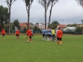 ZZPD Górnik Lubin  (11)