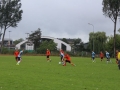 ZZPD Górnik Lubin  (14)