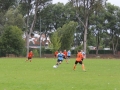 ZZPD Górnik Lubin  (17)
