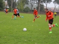ZZPD Górnik Lubin  (21)