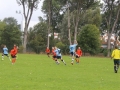 ZZPD Górnik Lubin  (3)