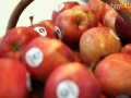 bezpieczny powrot do szkoly 69-sign