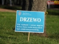 akcja plastyczna 06-sign