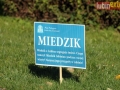 akcja plastyczna 08-sign