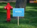 akcja plastyczna 13-sign