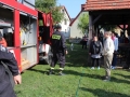WTZ Przytulisko (3)