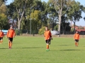 górnik lubin - sparta parszowice (103)