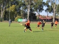 górnik lubin - sparta parszowice (124)