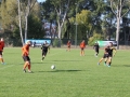 górnik lubin - sparta parszowice (126)
