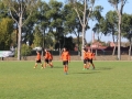 górnik lubin - sparta parszowice (17)