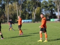 górnik lubin - sparta parszowice (26)