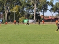 górnik lubin - sparta parszowice (56)