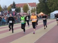 Bieg Barbórkowy (267)