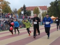 Bieg Barbórkowy (278)