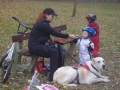 Parkrun  (27)