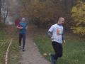Parkrun  (30)