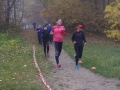 Parkrun  (31)