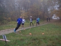 Parkrun  (37)