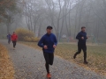 Parkrun  (53)