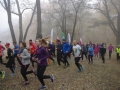 Parkrun  (65)