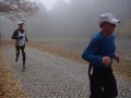 Parkrun  (7)