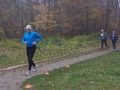 Parkrun  (76)