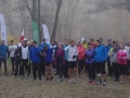 Parkrun  (79)