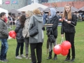 Piknik Wojskowy Błonia (49)