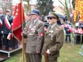 Święto Niepodległości  (133)